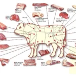 O mapa do boi / Acidez Mental