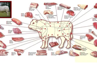 O mapa do boi / Acidez Mental