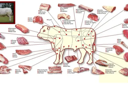 O mapa do boi / Acidez Mental