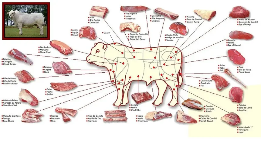 O mapa do boi / Acidez Mental